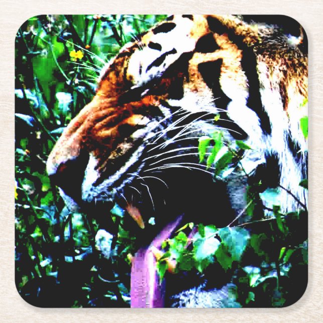 Amur Tiger coastercnm Square Paper Coaster (Front)