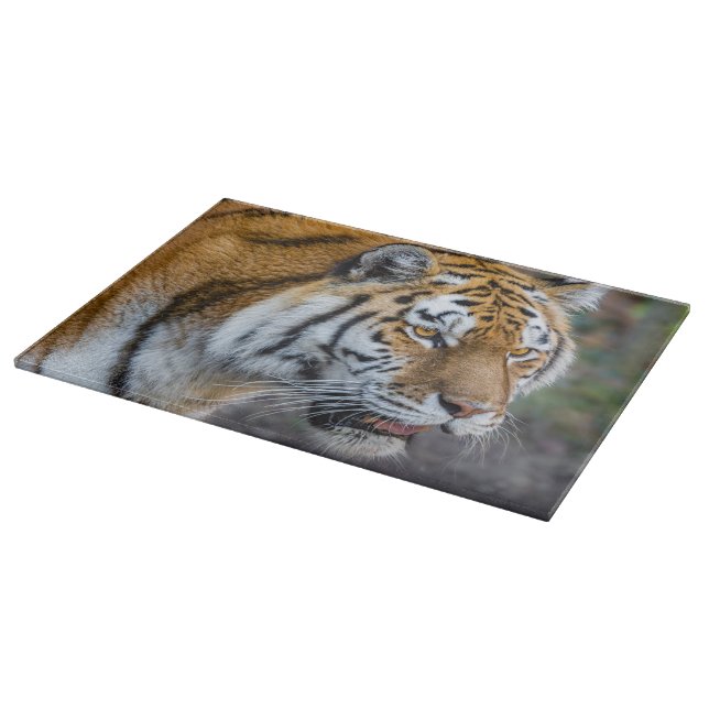 Amur tiger cutting board (Corner)