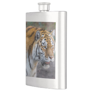Amur tiger hip flask