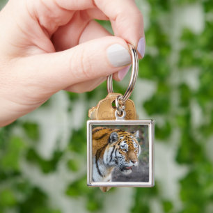 Amur tiger key ring