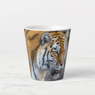 Amur tiger latte mug