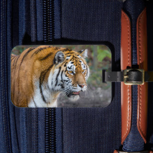 Amur tiger luggage tag