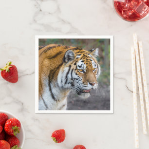 Amur tiger napkin