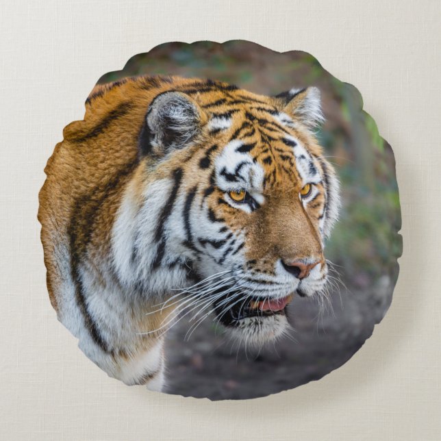Amur tiger round cushion (Front)