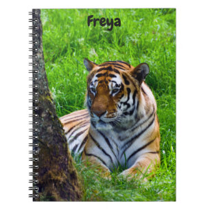 Amur Tiger Spiral Notebook