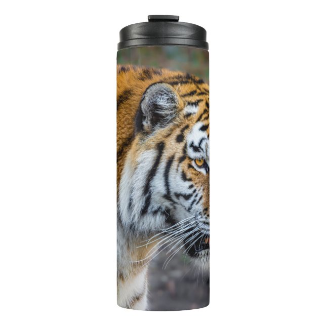 Amur tiger thermal tumbler (Front)