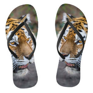 Amur tiger thongs