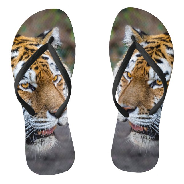 Amur tiger thongs (Footbed)