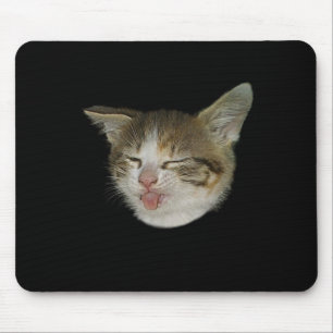 Amusing face of nice kitten which grimaces mouse pad
