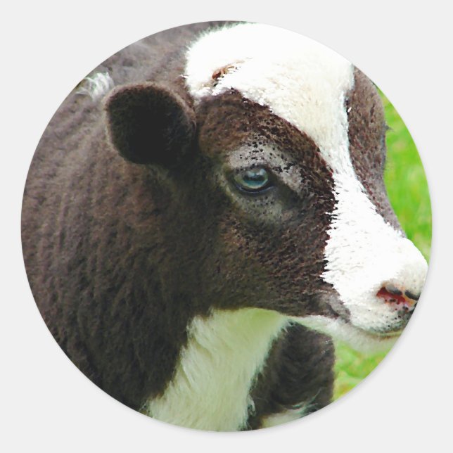 Amy's Lamb Oil Paint Effect Classic Round Sticker (Front)