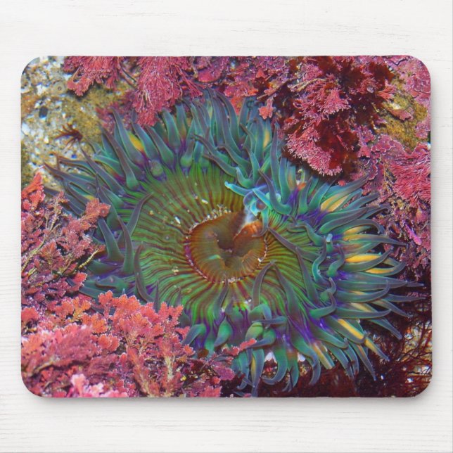 Amzing Green Anemone Mouse Pad (Front)