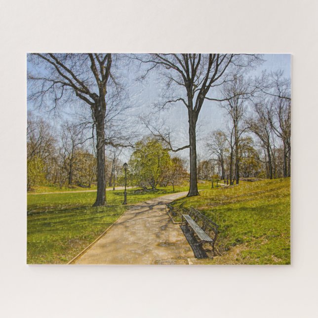 An Abstract Photograph of Central Park New York. Jigsaw Puzzle (Horizontal)