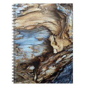 An abstract texture in light brown and blue tree b notebook
