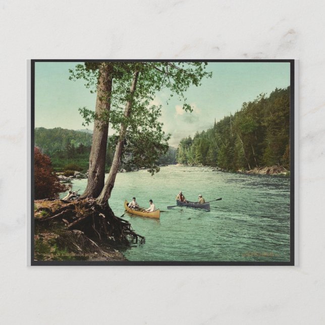 An Adirondack mountain stream classic Photochrom Postcard (Front)