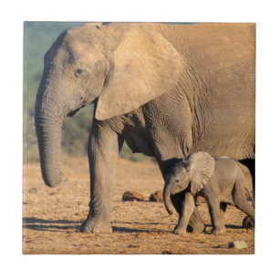 An African Elephant mother and calf on the move Ceramic Tile