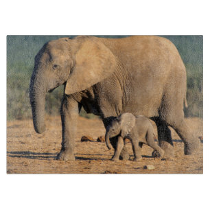 An African Elephant mother and calf on the move Cutting Board