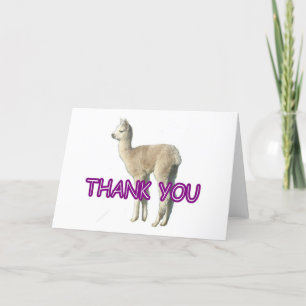An alpaca "Thank You" card