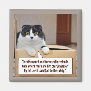 An alternate dimension magnet