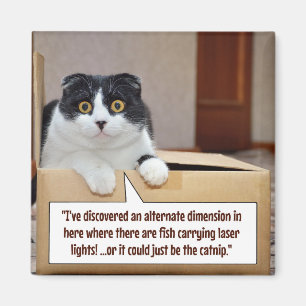 An alternate dimension magnet