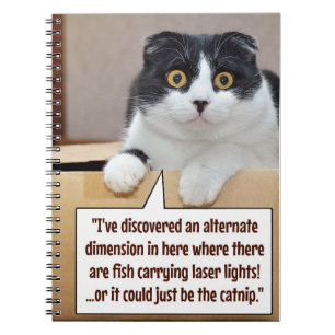 An alternate dimension notebook