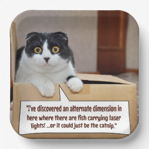 An alternate dimension paper plate