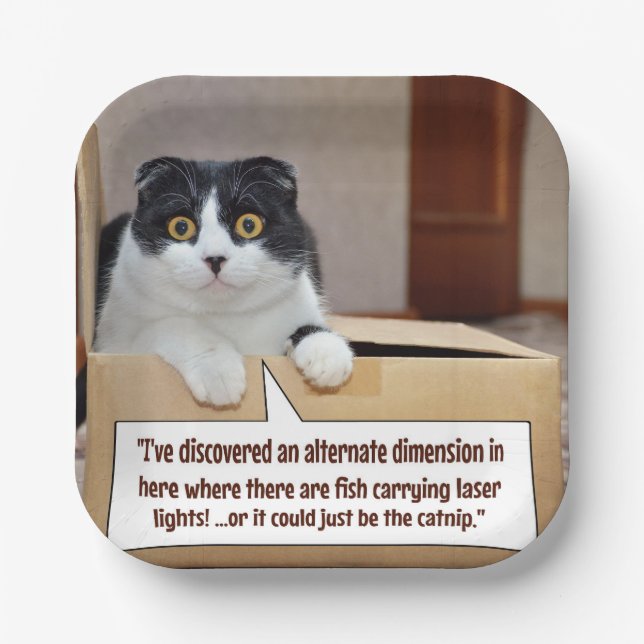 An alternate dimension paper plate (Front)