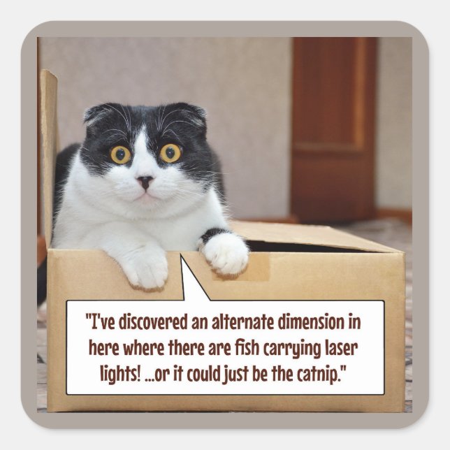 An alternate dimension square sticker (Front)