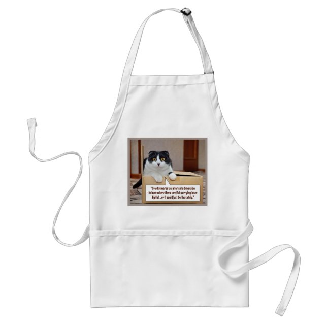 An alternate dimension standard apron (Front)