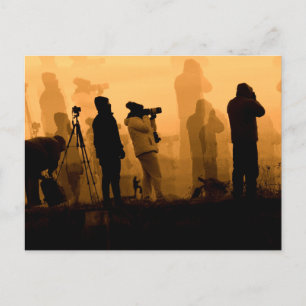 An Amazing Sunset - Photographing Geese at Sunset Postcard