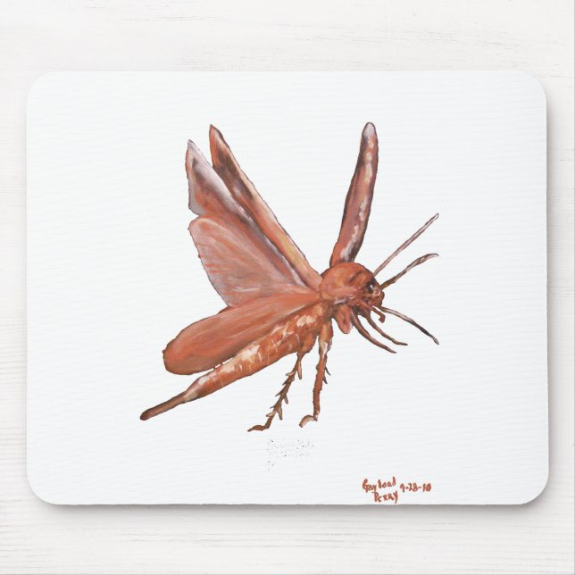 "An American Cockroach" Mousepad (Front)