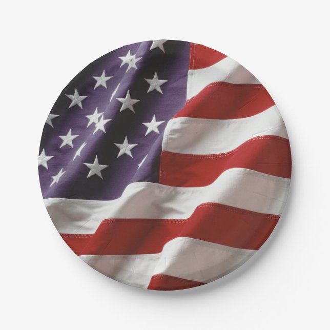 An American Flag - USA Paper Plate (Front)