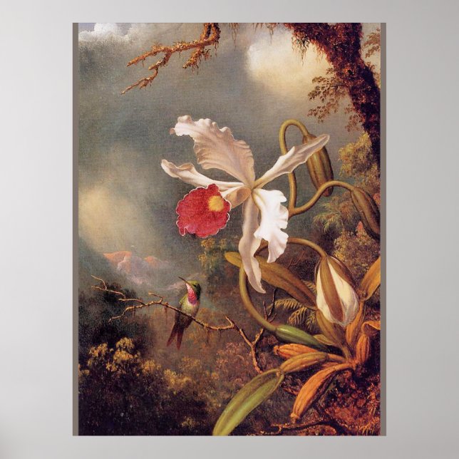 An Amethyst Hummingbird with White Orchid Poster (Front)