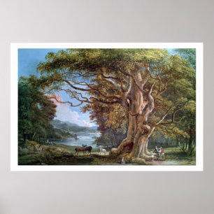 An Ancient Beech Tree, 1794 (oil on canvas) Poster