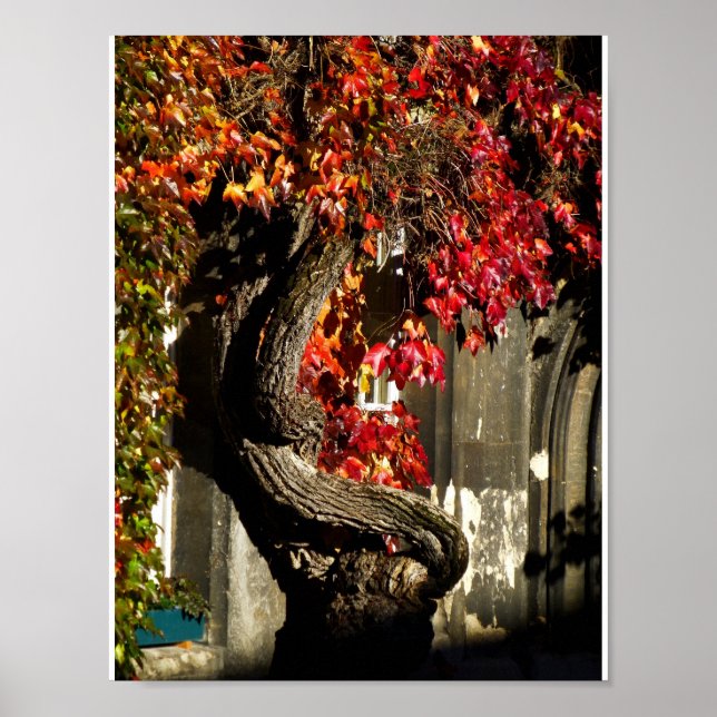 An Ancient Being Poster (Front)