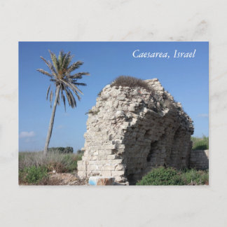 An ancient wall with a Palm tree, Caesarea, Israel Postcard