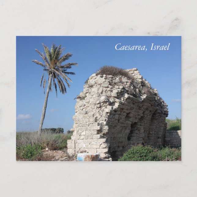 An ancient wall with a Palm tree, Caesarea, Israel Postcard (Front)