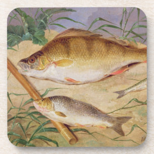 An Angler's Catch of Coarse Fish (oil on panel) Coaster