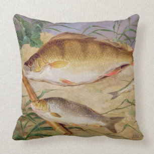 An Angler's Catch of Coarse Fish (oil on panel) Cushion