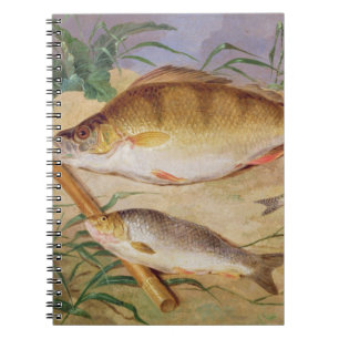 An Angler's Catch of Coarse Fish (oil on panel) Notebook