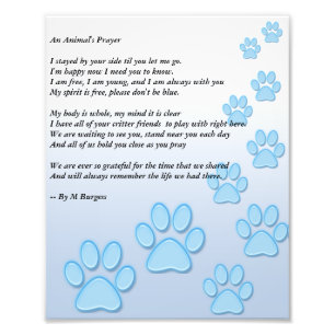 An Animal's Prayer - Photo Print