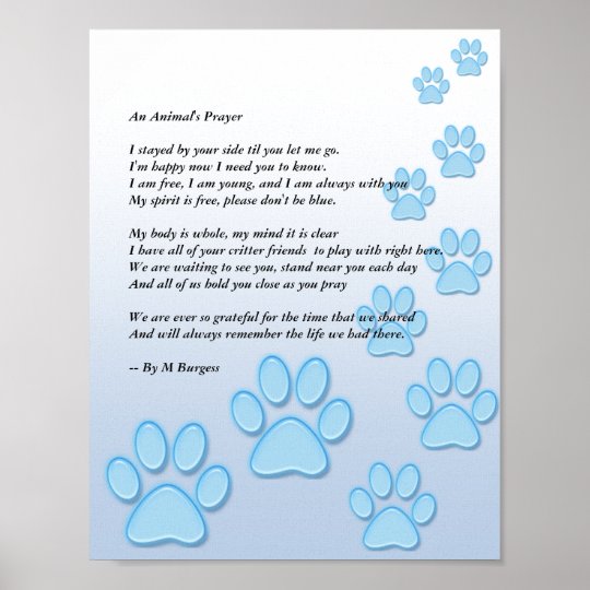 An Animal's Prayer - Poster | Zazzle.com.au