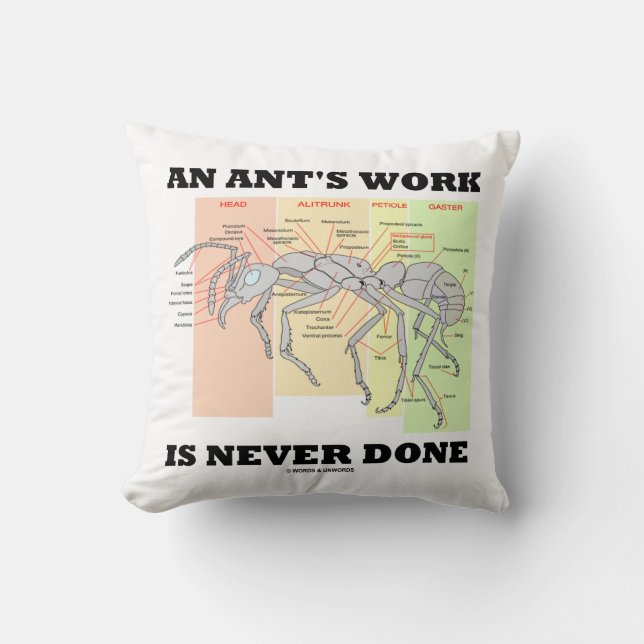 An Ant's Work Is Never Done (Worker Ant Anatomy) Cushion (Front)