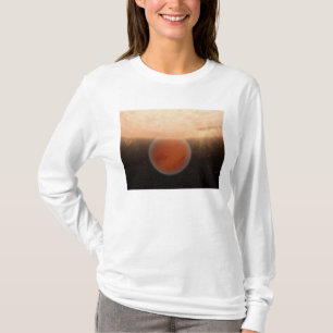 An artisti's concept T-Shirt