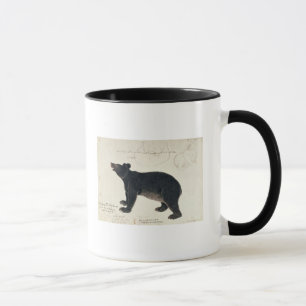 An Asiatic Black Bear, "Ursus Tibetanus" Mug