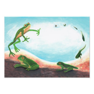 An astonishing life cycle of a frog Photo Print