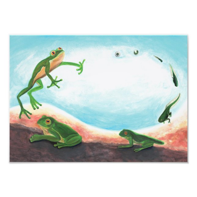  An astonishing life cycle of a frog  Photo Print (Front)