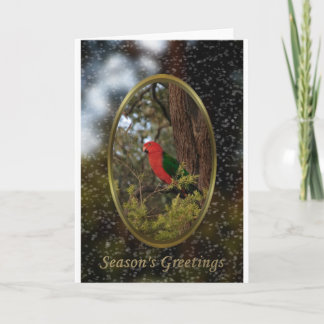 An Aussie Christmas Holiday Card