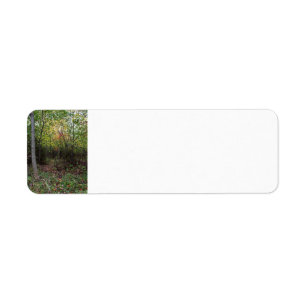 An Autumn Stroll Return Address Label