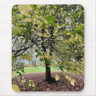An autumn walk mouse pad