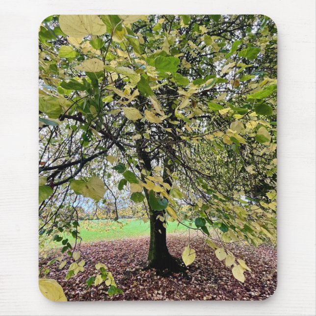 An autumn walk mouse pad (Front)